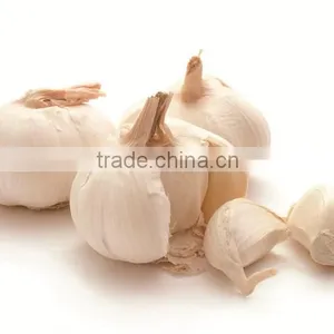 KH Free Design Garlic Root Cutter thumbnail-1