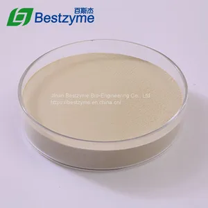 Xylanase thumbnail-1