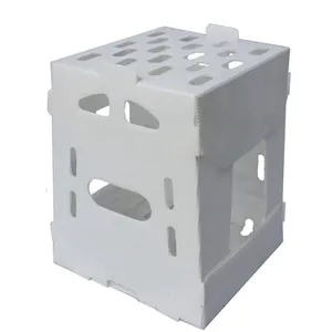 PP Corrugated Plastic BOX Corflute Correx Okra Box for Agriculture Vegetable Box thumbnail-2
