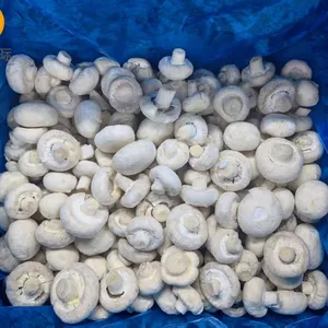Premium IQF Frozen White Champginon Button Mushroom Cuts Whole Agaricus Bisporus for Wholesale thumbnail-2