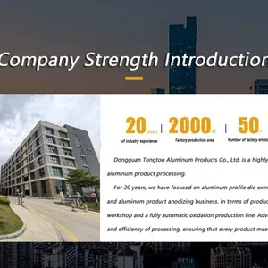 Dongguan Tengtu Aluminum Products Co., Ltd. Introduction