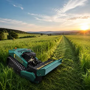Professional Brush Cutter 48V 20Ah Battery 30 Inch Lawn Mower CE/EPA Mulcher China For Farmland & Crop Areas thumbnail-1