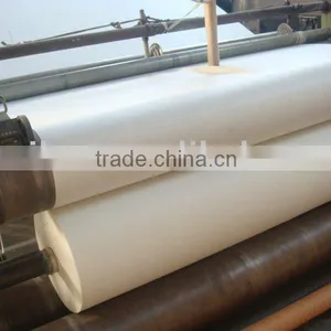 Nonwoven Polyester Mat in Competitive Price for Waterproof Material thumbnail-1