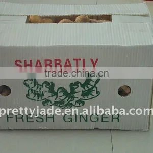 Supply Pickled Ginger thumbnail-1