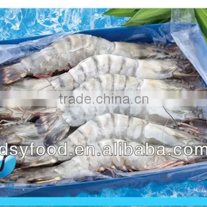 Frozen Large Size Tiger Shrimp/pawn thumbnail-1