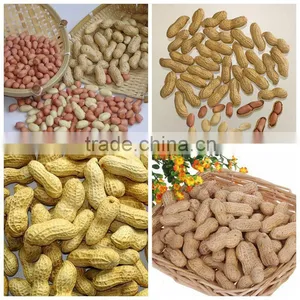 Roasted Peanut Inshell,roasted Peanuts thumbnail-1
