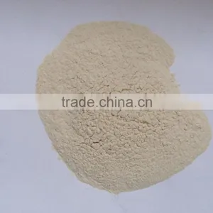 High Quality Bulk Garlic Powder for EU/USA Market With FDA/ISO/HACCP /KOSHER Approved thumbnail-1