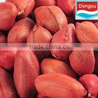 Hot Sale Red Peanut From China thumbnail-1