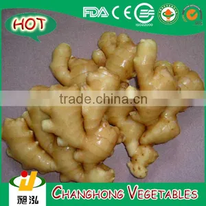 China Fresh Ginger With Lowest Price 22kg/mesh Bag thumbnail-1