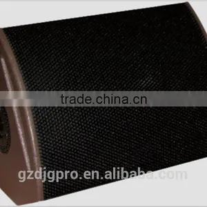 Coaxial Loudspeaker 12XT thumbnail-1