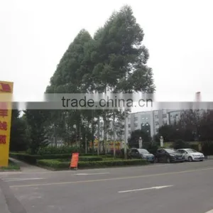 Chongqing Yufeng Wire & Cable Co., Ltd. company overview - view 2 thumbnail