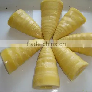 High Quality Canned Bamboo Shoot to European,American,Africa thumbnail-3
