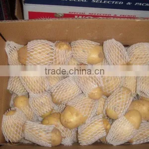 Chinese Fresh Potato thumbnail-1
