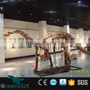 OAV3089 Hot Real Size Dinosaur Bone thumbnail-4