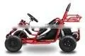 WuyiTiandi go Kart thumbnail-1