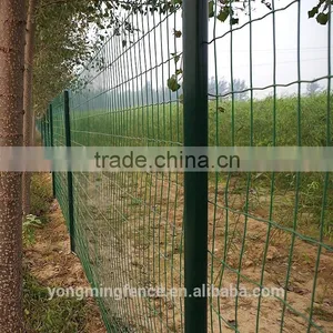 Galvanized and Powder Coating Welded Euro Fence for Sale thumbnail-4