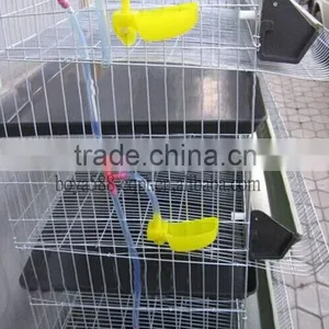 Hot Dipped Galvanized Wire Mesh Quail Cage With Automatic Drinking System thumbnail-2