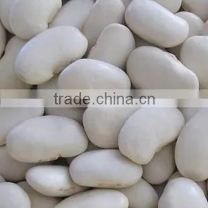 Chinese Large White Kidney Beans for Sale thumbnail-5
