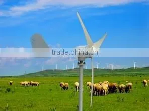 300w Wind Turbine thumbnail-2