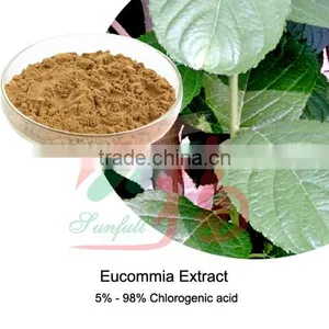 High Quality Eucommia Extract 5% ~ 98% Chlorogenic Acid in Bulk thumbnail-1