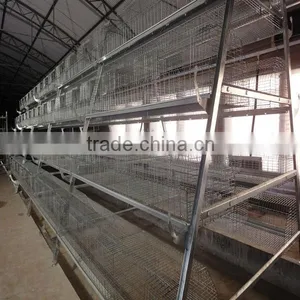 A-type Cage for Broiler and Layer thumbnail-1