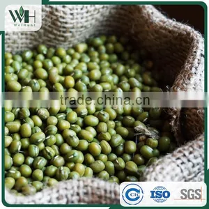 AMA Certified Green Mung Bean thumbnail-6