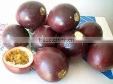 PASSION FRUIT thumbnail-1