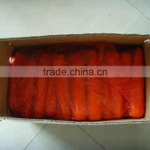 Carrot Production High Quality and Cheap thumbnail-1