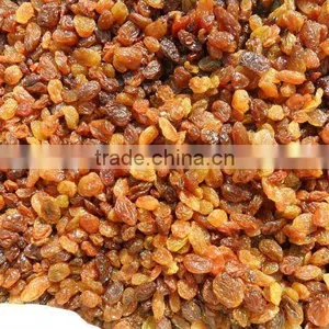 INDUSTRIAL RAISIN OF NEW CROP FOR SELL thumbnail-3