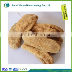 100% Top Grade Gastrodiae Elata Popular Gastrodia Tuer thumbnail-4