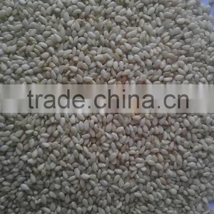 Baked Sesame Seeds thumbnail-6