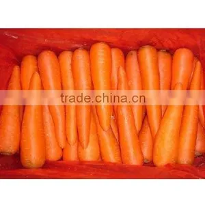 Fresh Carrot thumbnail-1