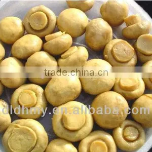 Fresh Canned Whole Mushroom Champignons thumbnail-1