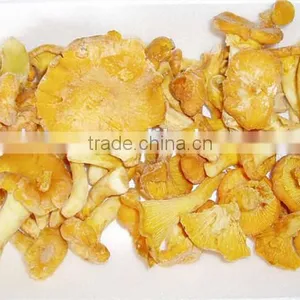 Whole Fresh Cantharellus Cibarius Professional Supplier thumbnail-2