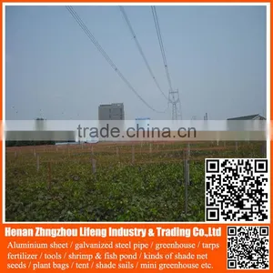 Low Price Green Virgin Invisible Bird Netting , 100% Virgin Hdpe Netting Fabric , Plastic Bird Nets for Catching Birds thumbnail-1