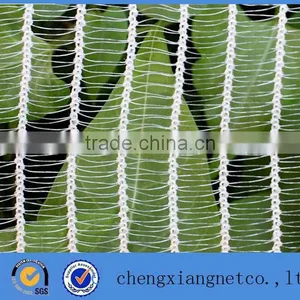 PE Olive Net/Fruit Harvest Netting thumbnail-1