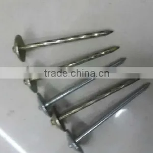 Roofing Nail thumbnail-4