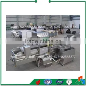 Vegetable Bubble Washing Leafy Vegetable Washing Machine thumbnail-5