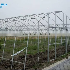 Cheap Tunnel Green House Baolida Vegetable Tunnel Green House for Tomato thumbnail-2