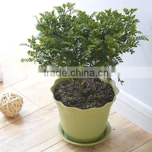 Fashional Design Lotus Shaped Plastic Plant Flower Pot Which Has 6 Kinds of Colors thumbnail-4