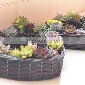 Handmade Wicker Basket Heart-shaped Retro Pastoral Desktop Simulation Flower Planting Pot Plants Meat Storage Basket thumbnail-6