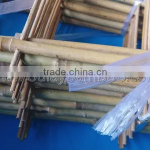Hand-assembled Bamboo Trellis With Small Package thumbnail-4