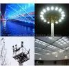 50W Led Flood Lighting thumbnail-3