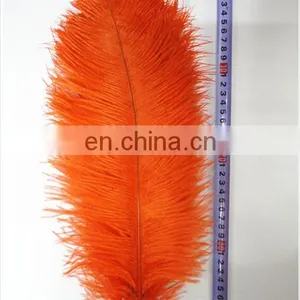 Ostrich Feather thumbnail-5