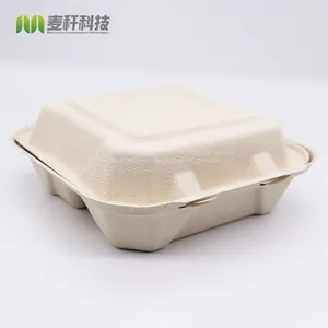 Disposable Biodegradable 8*8 3C Take Away Sugarcane Container thumbnail-2