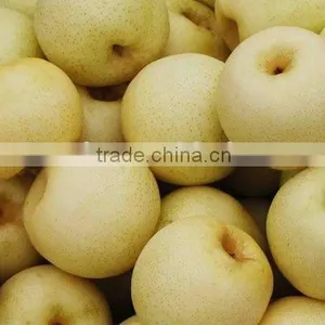 Chinese Golden Pears thumbnail-1