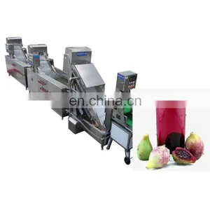 Commercial Roxburgh Rose Juice Concentrate Processing Line thumbnail-4