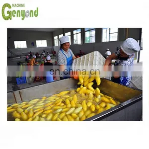 Mango Hot Water Treatment Plant thumbnail-1