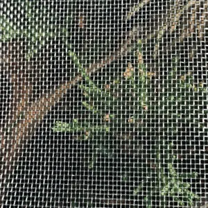 2025 Hdpe Anti Insect Net Green House 5 Years Using Life Time thumbnail-5