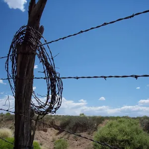 Wholesales Fencing Hot Dipped Galvanized Barbed Wire thumbnail-4